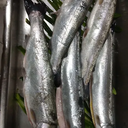 Roots And Wine Bar Plovdiv