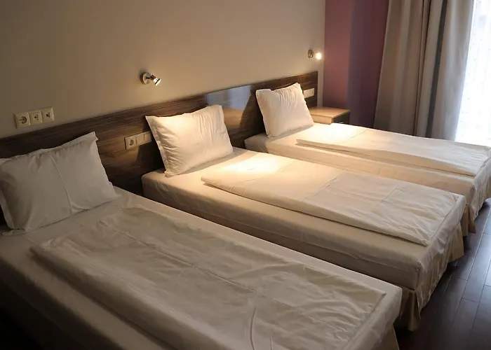 Hotel Roots And Wine Bar